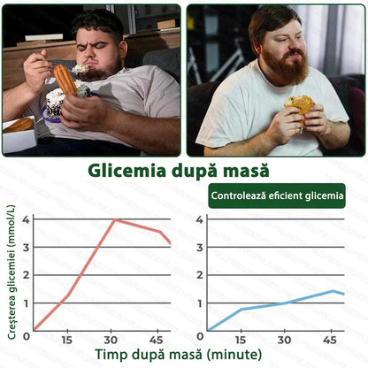 【Plasture PLUS complet nou】 ☘️☘️ GLORENDA® Moringa X Berberină 10-în-1 – plasture avansat cu microace nano (O dată pe zi, schimbări vizibile în 7 zile) Obezitate, diabet, apnee în somn și probleme articulare