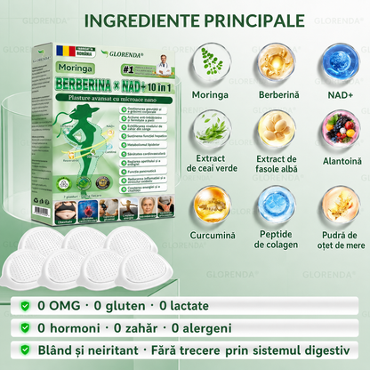 【Plasture PLUS complet nou】 ☘️☘️ GLORENDA® Moringa X Berberină 10-în-1 – plasture avansat cu microace nano (O dată pe zi, schimbări vizibile în 7 zile) Obezitate, diabet, apnee în somn și probleme articulare