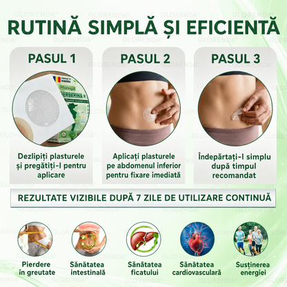 【Plasture PLUS complet nou】 ☘️☘️ GLORENDA® Moringa X Berberină 10-în-1 – plasture avansat cu microace nano (O dată pe zi, schimbări vizibile în 7 zile) Obezitate, diabet, apnee în somn și probleme articulare