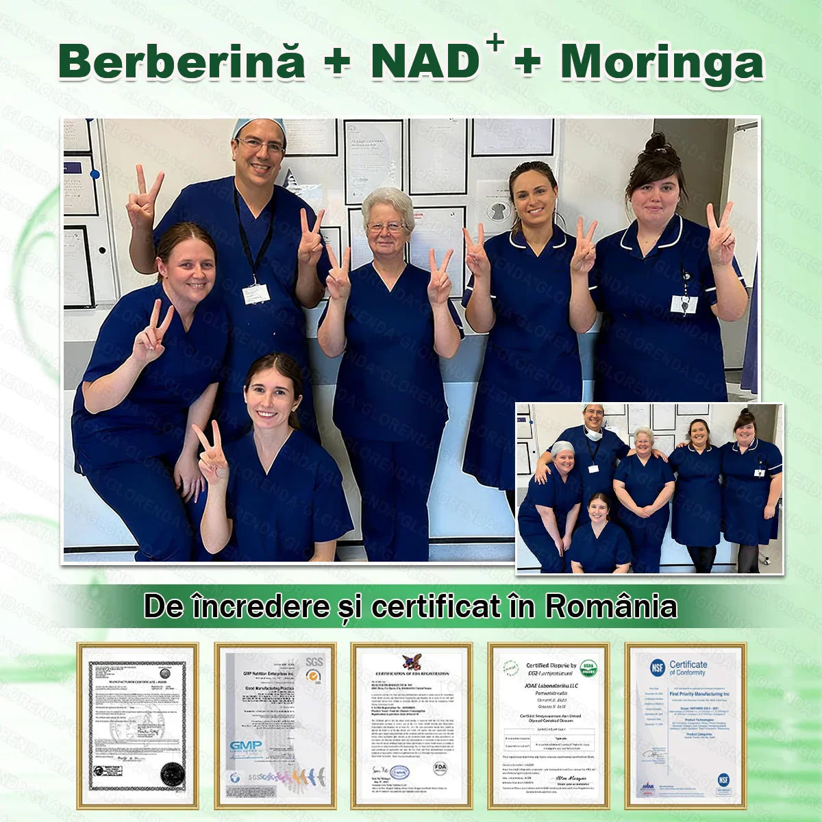 【Plasture PLUS complet nou】 ☘️☘️ GLORENDA® Moringa X Berberină 10-în-1 – plasture avansat cu microace nano (O dată pe zi, schimbări vizibile în 7 zile) Obezitate, diabet, apnee în somn și probleme articulare